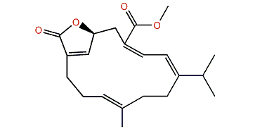 Sarcoehrenolide E